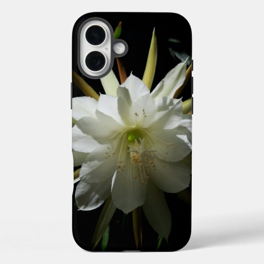 サボテン開花 Case-Mate iPhoneケース (裏面)
