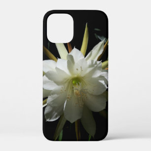 サボテン開花 iPhone 12 MINI ケース
