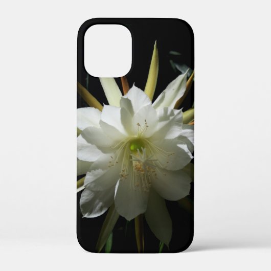 サボテン開花 Case-Mate iPhoneケース (裏面)