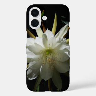 サボテン開花 iPhone 16ケース