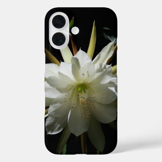 サボテン開花 Case-Mate iPhoneケース (裏面)