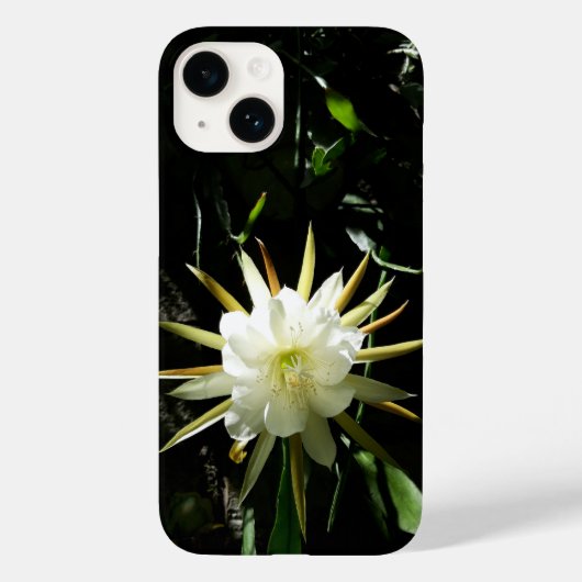 サボテン開花 Case-Mate iPhoneケース (裏面)