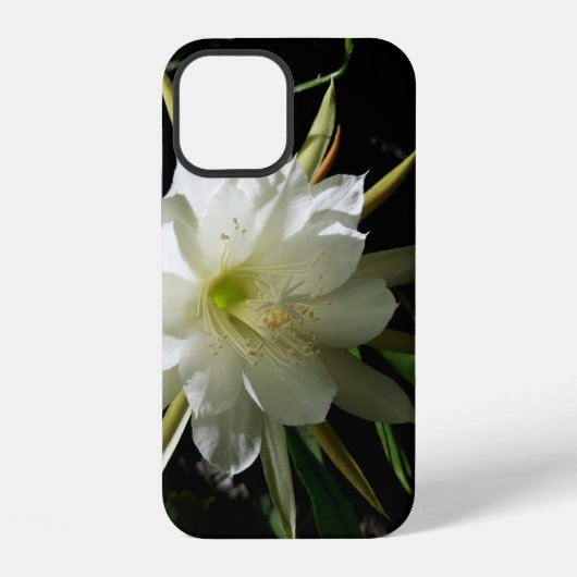 サボテン開花 iPhoneケース (裏面)