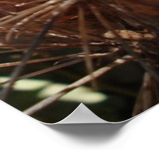 サボテン骨 ポスター (角)