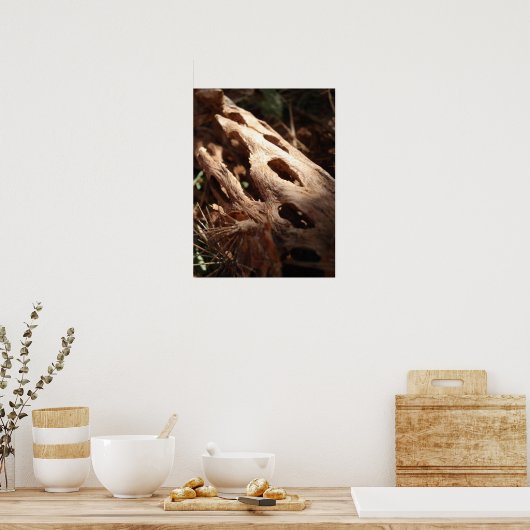 サボテン骨 ポスター (キッチン)