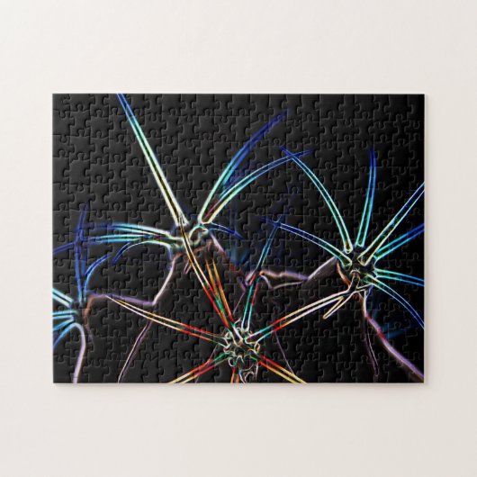 サボテン1 11x14 252pc jpcna ジグソーパズル (横)