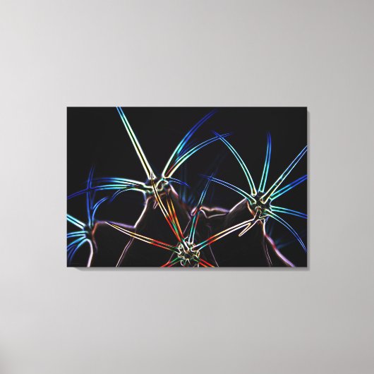 サボテン1 36x24 (90x60cm)ワッカ キャンバスプリント (正面)