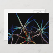 サボテン1 pccna ポストカード (正面/裏面)