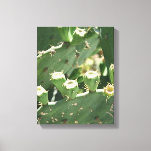 サボテン キャンバスプリント (正面)