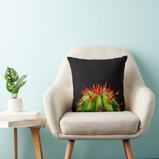 サボテン クッション (椅子)