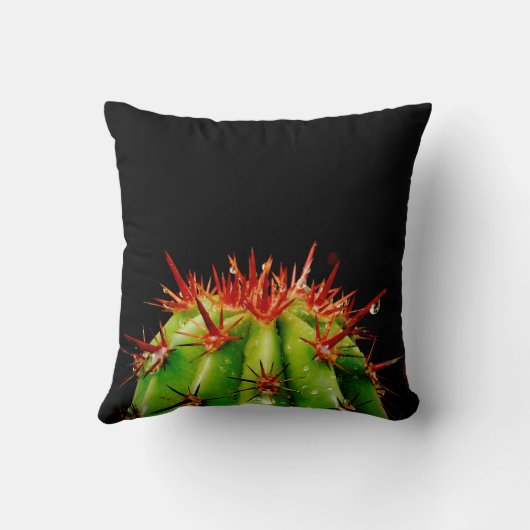 サボテン クッション (裏面)