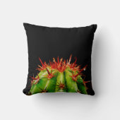 サボテン クッション (正面)