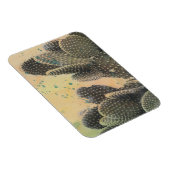 サボテン |グリーン（ばちゃばちゃ）跳ねる マグネット (右側)