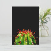 サボテン シーズンカード (スタンド正面)