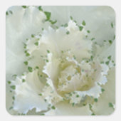 サボテン スクエアシール (正面)