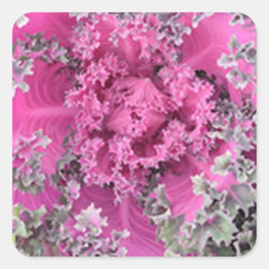 サボテン スクエアシール (正面)