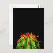 サボテン・セラミック ポストカード (正面/裏面)