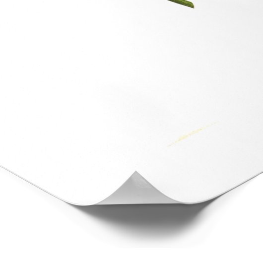 サボテン・ダリア ポスター (角)