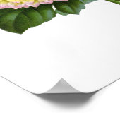 サボテン・ダリア ポスター (角)