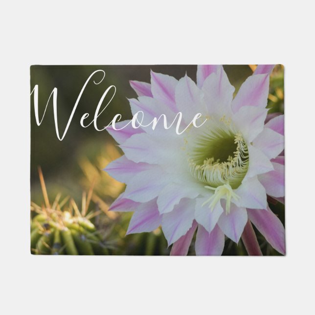 サボテン ドアマット (正面)