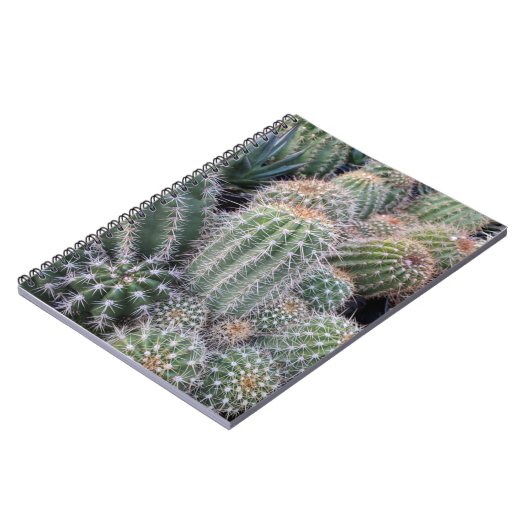 サボテン ノートブック (左側)