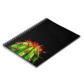 サボテン ノートブック (左側)