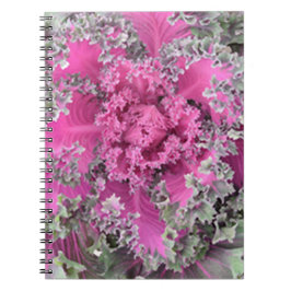 サボテン ノートブック