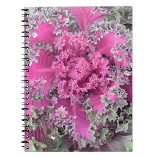 サボテン ノートブック (正面)