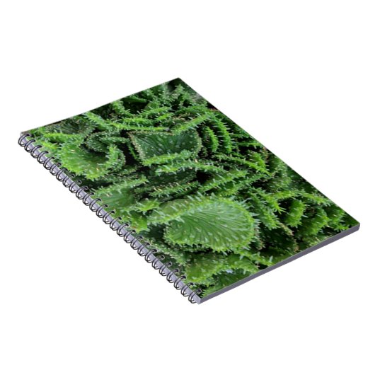 サボテン ノートブック (右側)