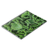 サボテン ノートブック (左側)