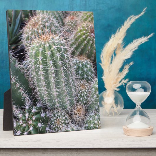 サボテン フォトプラーク (側面)