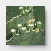 サボテン フォトプラーク (正面)