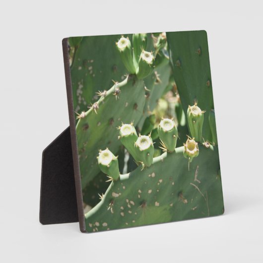 サボテン フォトプラーク (正面)