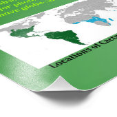 サボテン フォトプリント            (角)