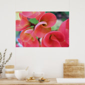 サボテン ポスター (キッチン)