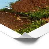 サボテン ポスター (角)