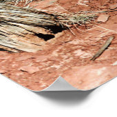 サボテン ポスター (角)