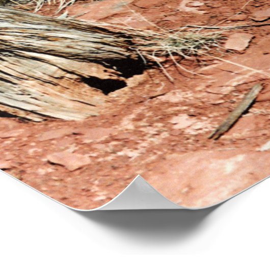 サボテン ポスター (角)