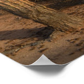 サボテン ポスター (角)