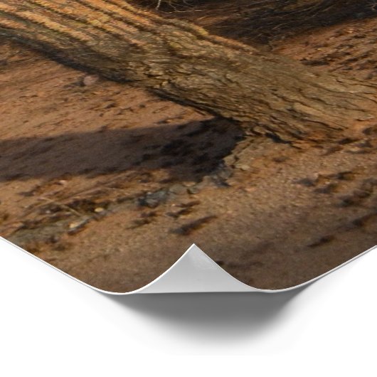 サボテン ポスター (角)