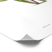 サボテン ポスター (角)