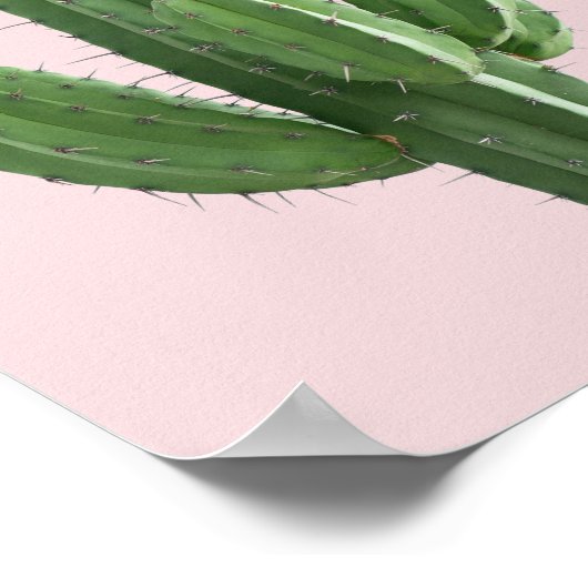 サボテン ポスター (角)