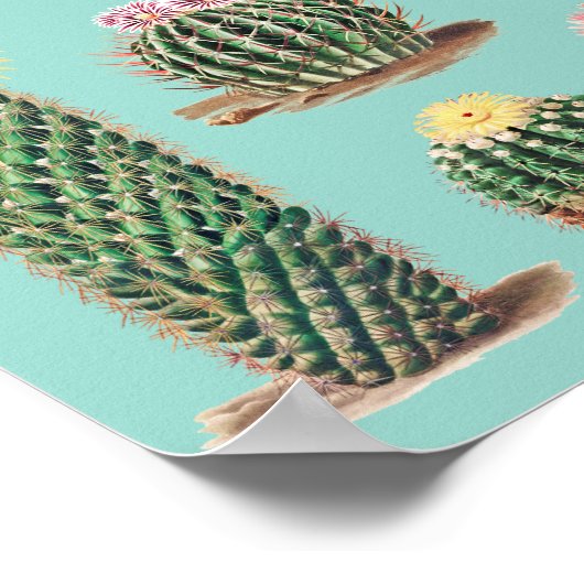 サボテン ポスター (角)