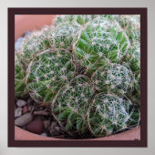 サボテン ポスター (正面)