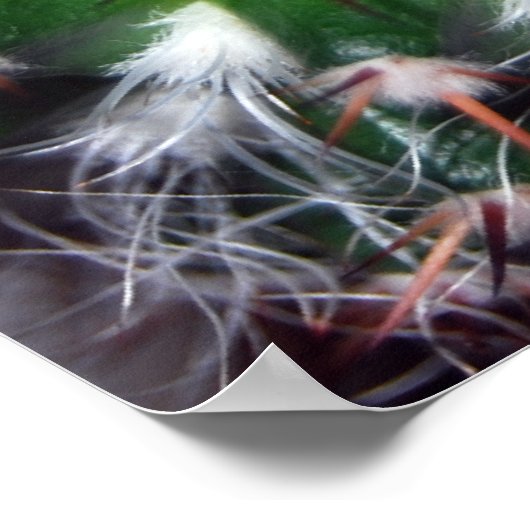 サボテン ポスター (角)