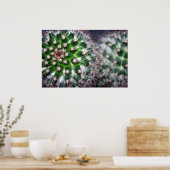 サボテン ポスター (キッチン)