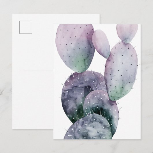 サボテン ポストカード (正面/裏面)