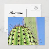 サボテン ポストカード (正面/裏面)