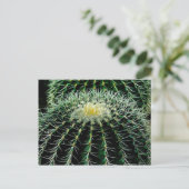 サボテン ポストカード (スタンド正面)
