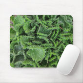 サボテン マウスパッド (マウス)